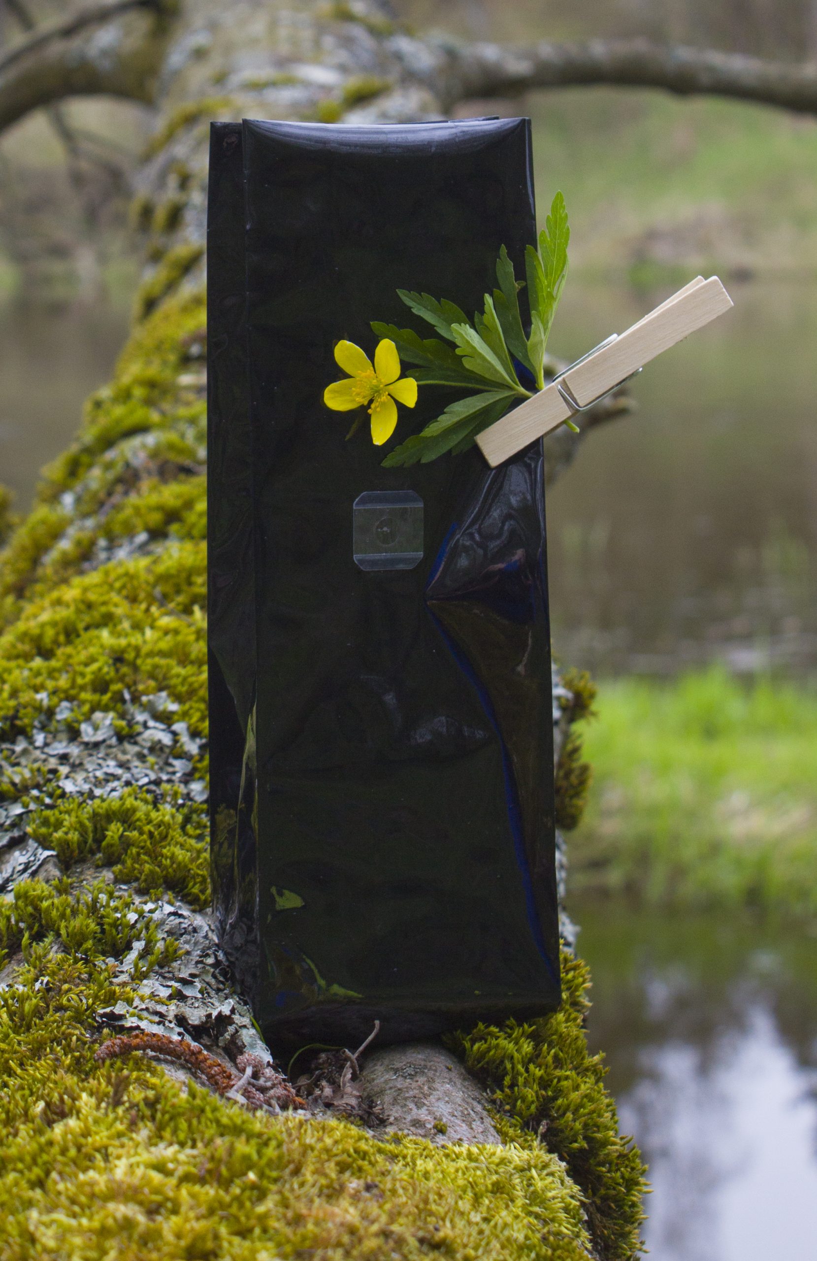 Juodas garsiakalbis ant samanotos medžio šakos su pritvirtinta geltona gėle ir žalumynais spaustuku.