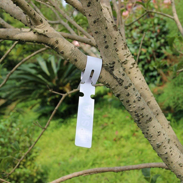Medžio šaka su pritvirtinta baltos spalvos plastikine etikete.